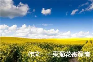 作文：一束菊花寄深情