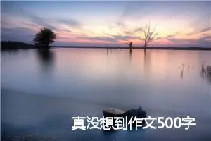 真没想到作文500字