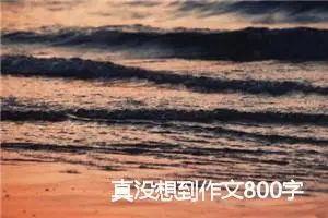 真没想到作文800字