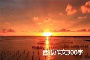 西瓜作文300字