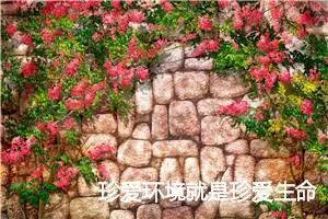 珍爱环境就是珍爱生命_作文850字_小学生环保作文