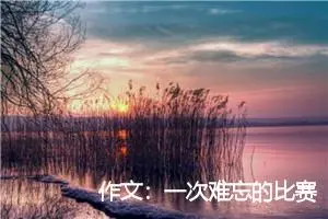 作文：一次难忘的比赛