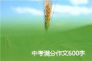 中考满分作文600字范文:至少,我还有微笑_中考满分作文