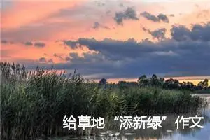 给草地“添新绿”作文350字